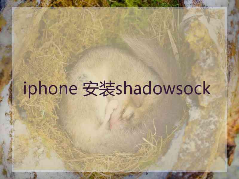 iphone 安装shadowsock