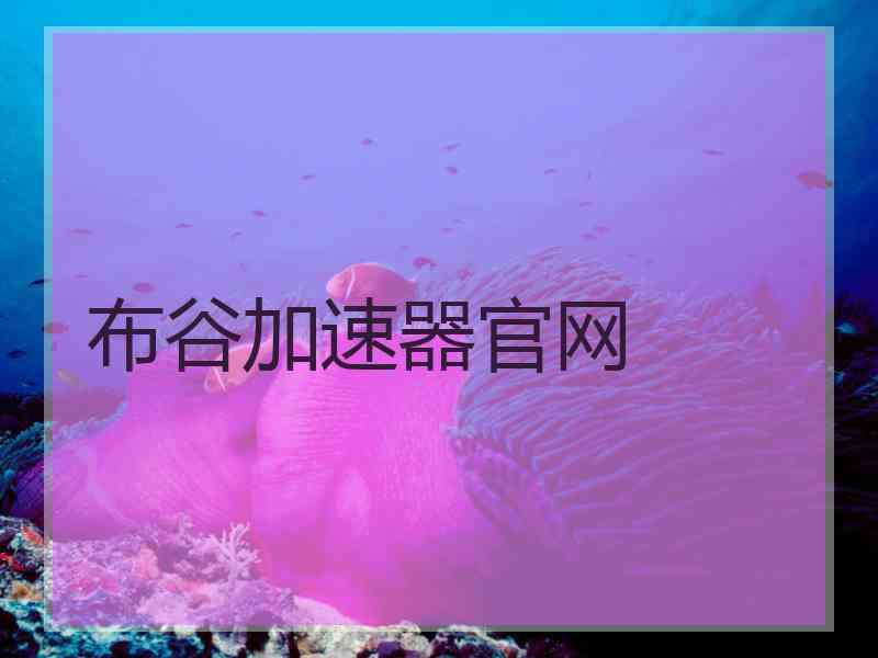 布谷加速器官网