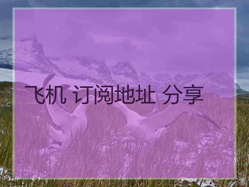 飞机 订阅地址 分享