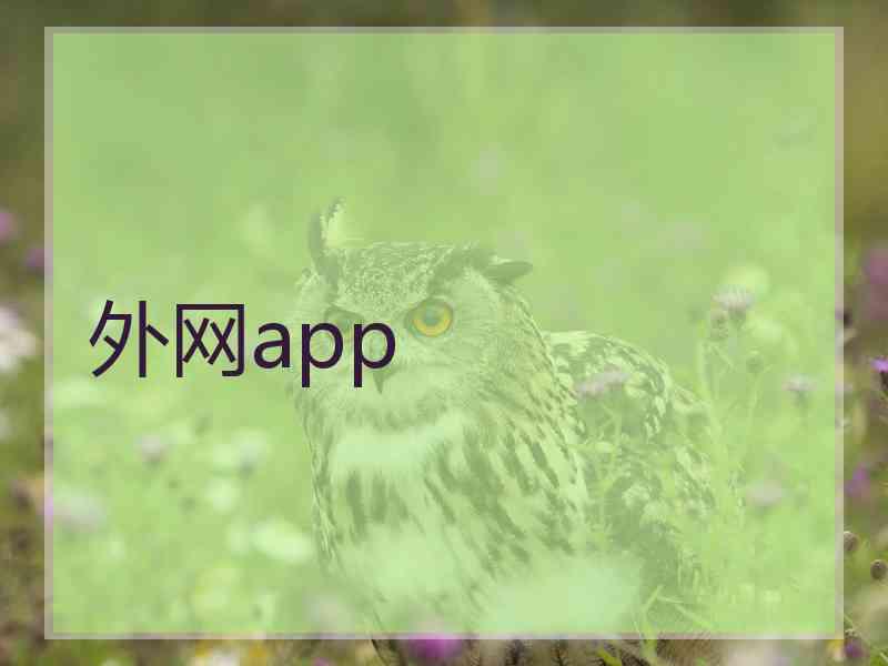 外网app