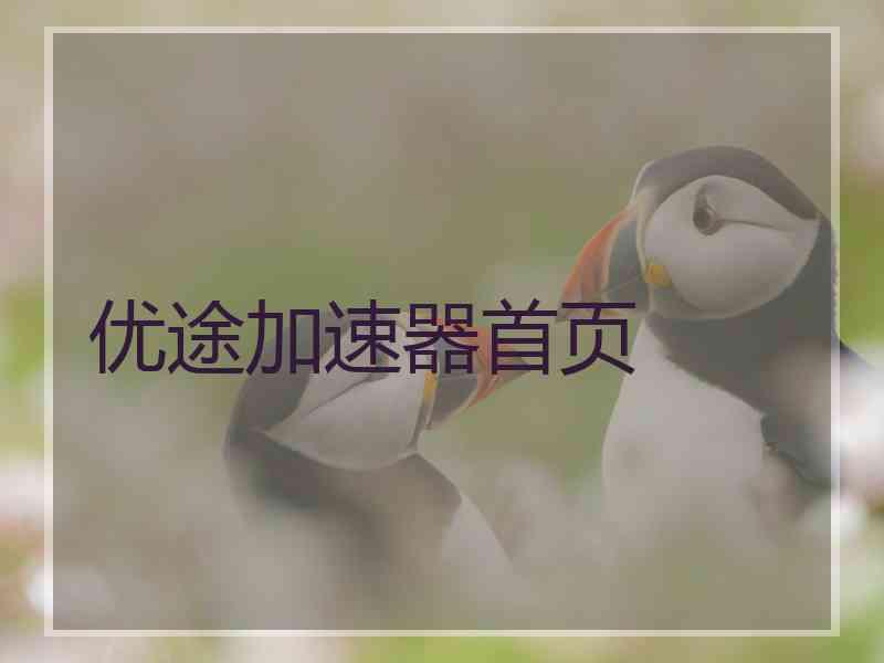 优途加速器首页