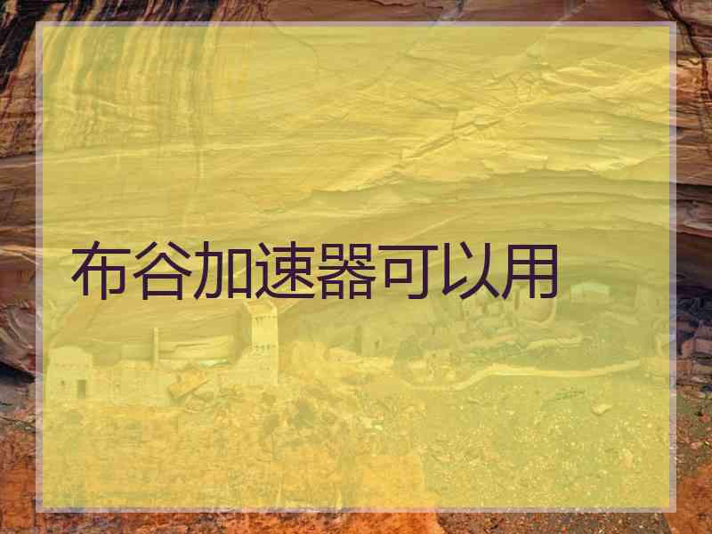 布谷加速器可以用