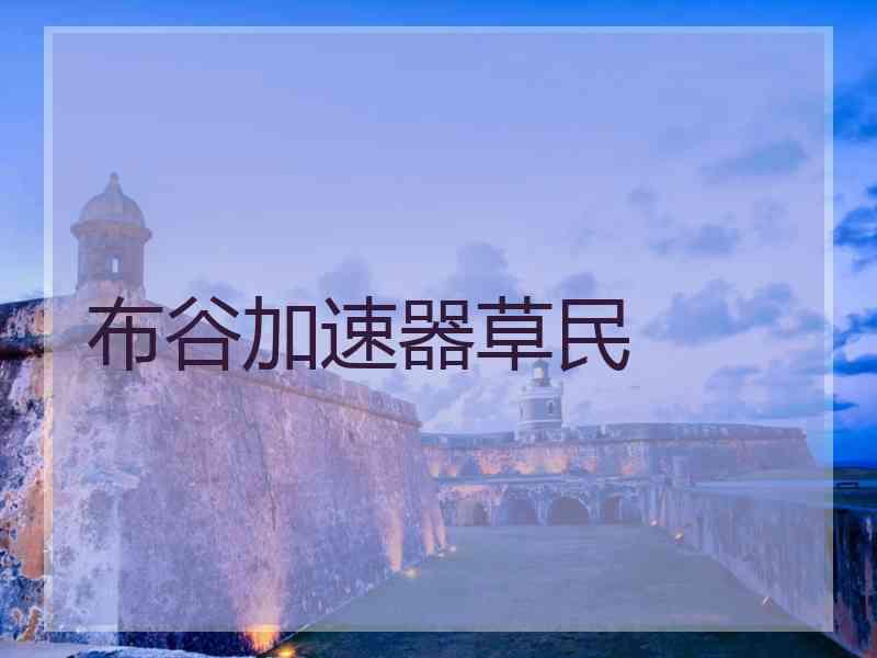 布谷加速器草民