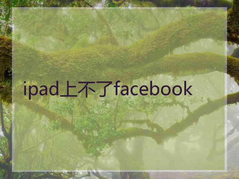 ipad上不了facebook