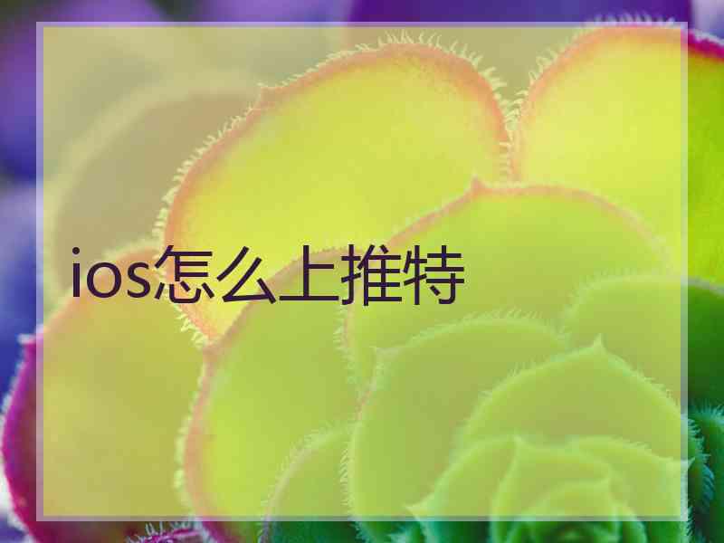 ios怎么上推特