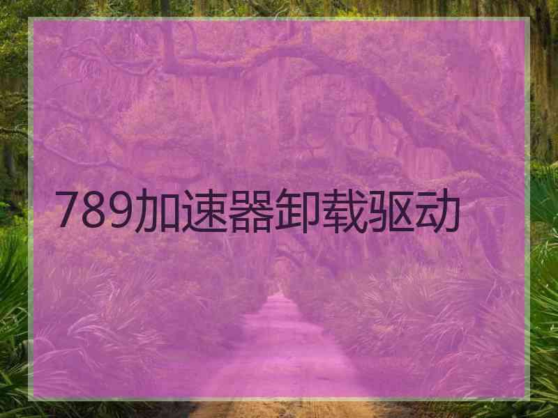 789加速器卸载驱动