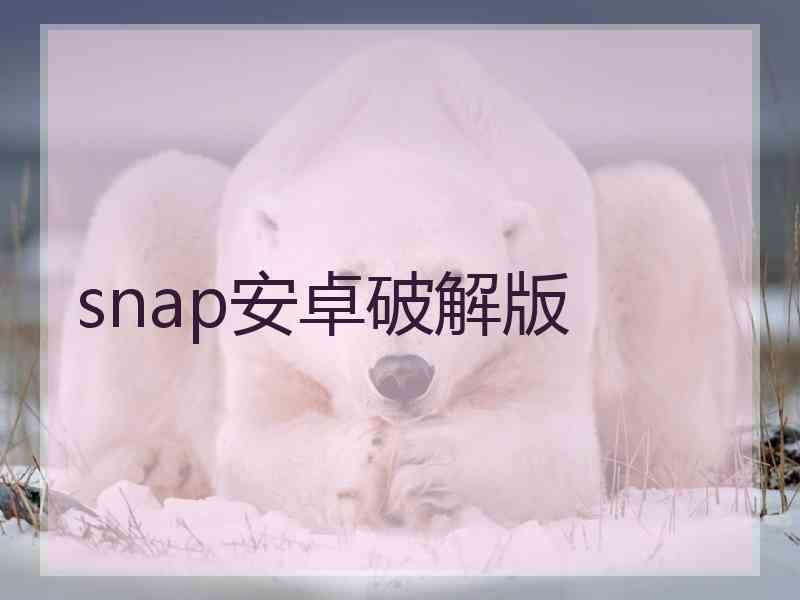 snap安卓破解版