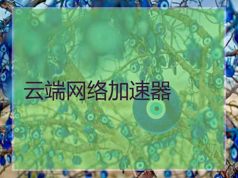 云端网络加速器