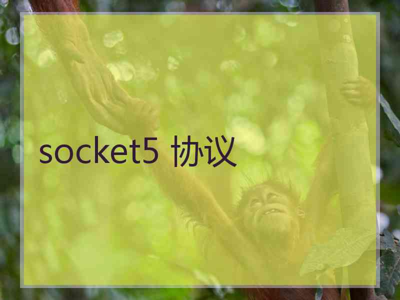socket5 协议