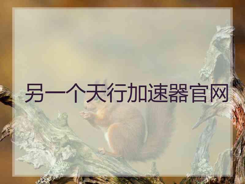 另一个天行加速器官网
