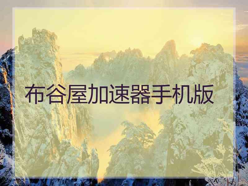 布谷屋加速器手机版