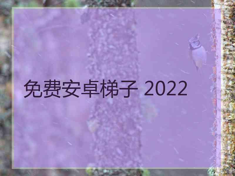 免费安卓梯子 2022