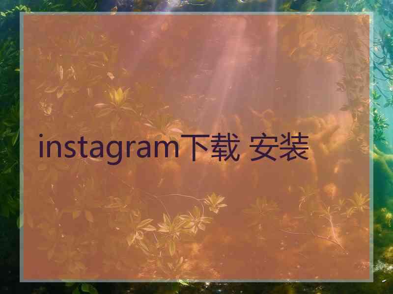 instagram下载 安装