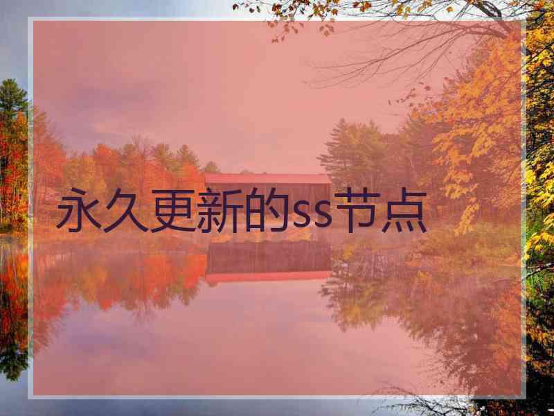 永久更新的ss节点