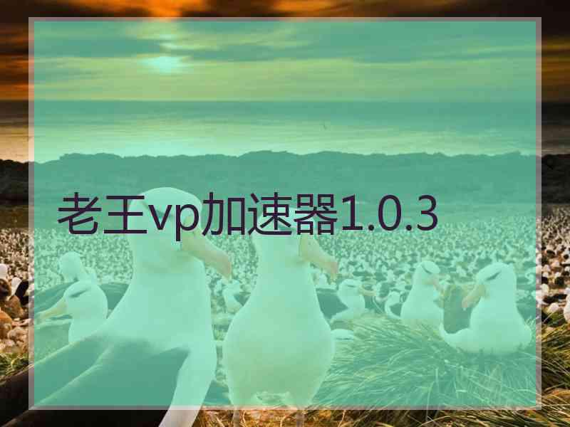 老王vp加速器1.0.3