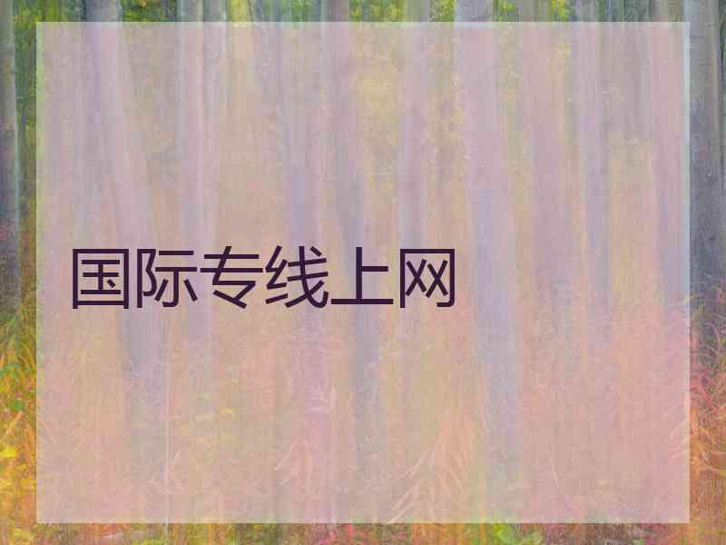国际专线上网