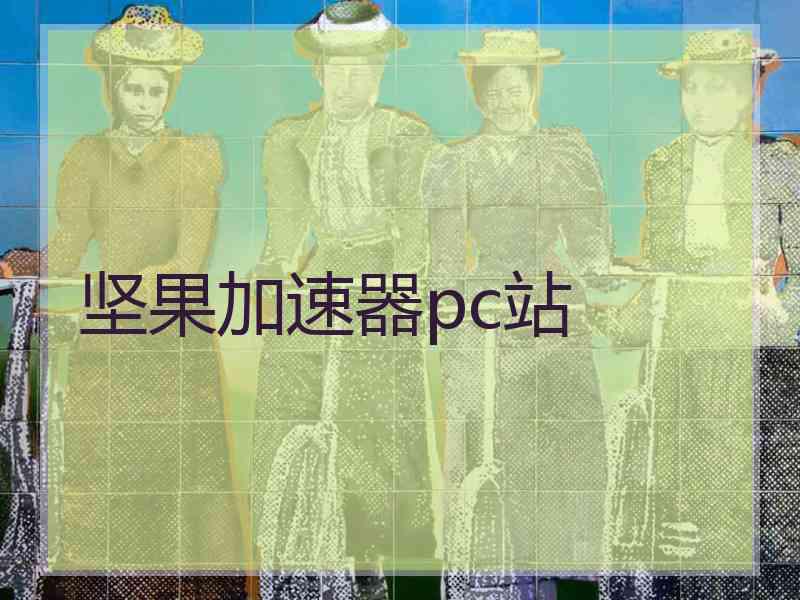 坚果加速器pc站