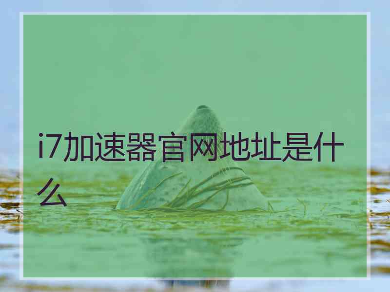 i7加速器官网地址是什么