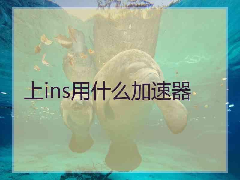上ins用什么加速器