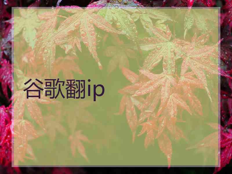 谷歌翻ip