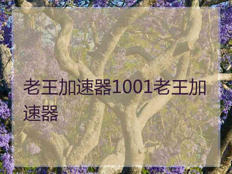 老王加速器1001老王加速器