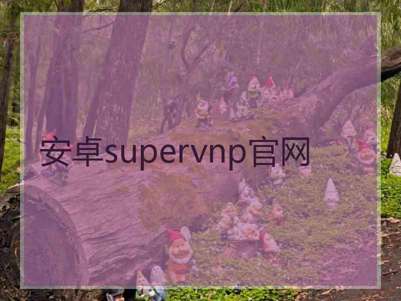 安卓supervnp官网