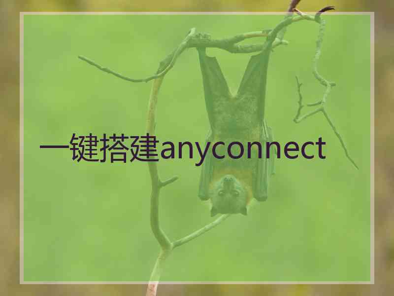 一键搭建anyconnect