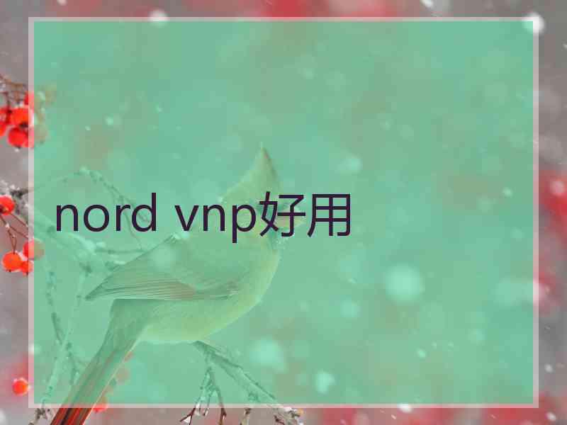 nord vnp好用