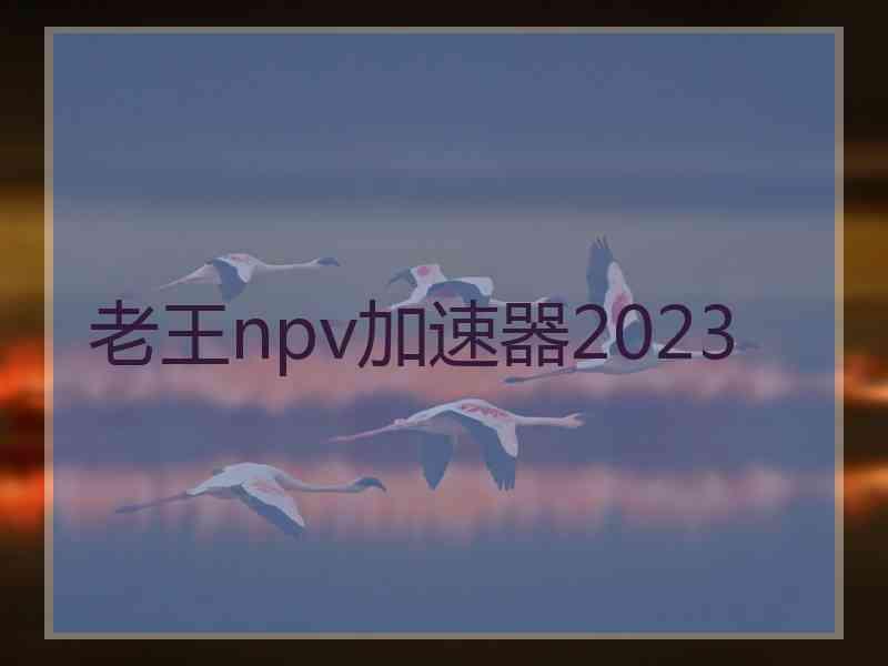 老王npv加速器2023