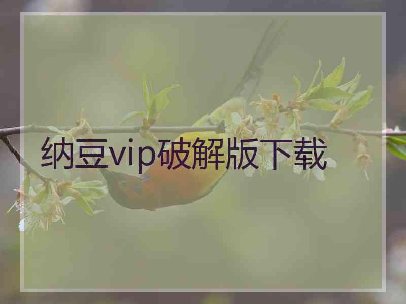 纳豆vip破解版下载