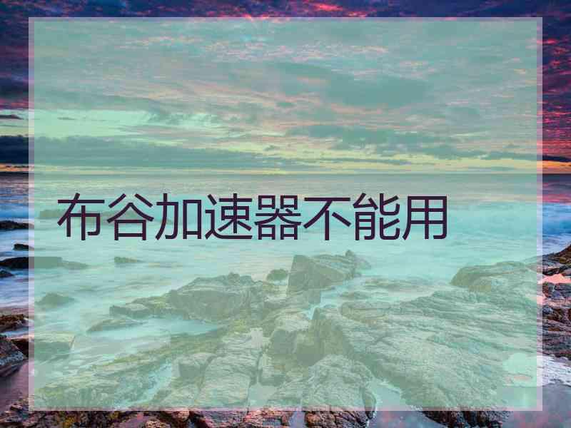 布谷加速器不能用