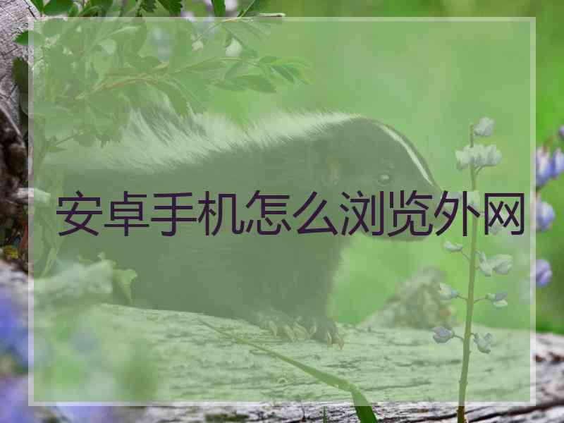 安卓手机怎么浏览外网