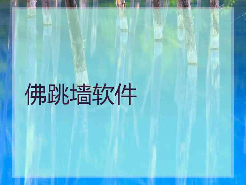 佛跳墙软件