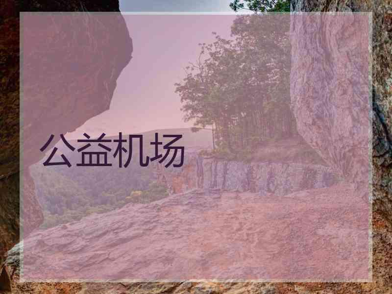 公益机场