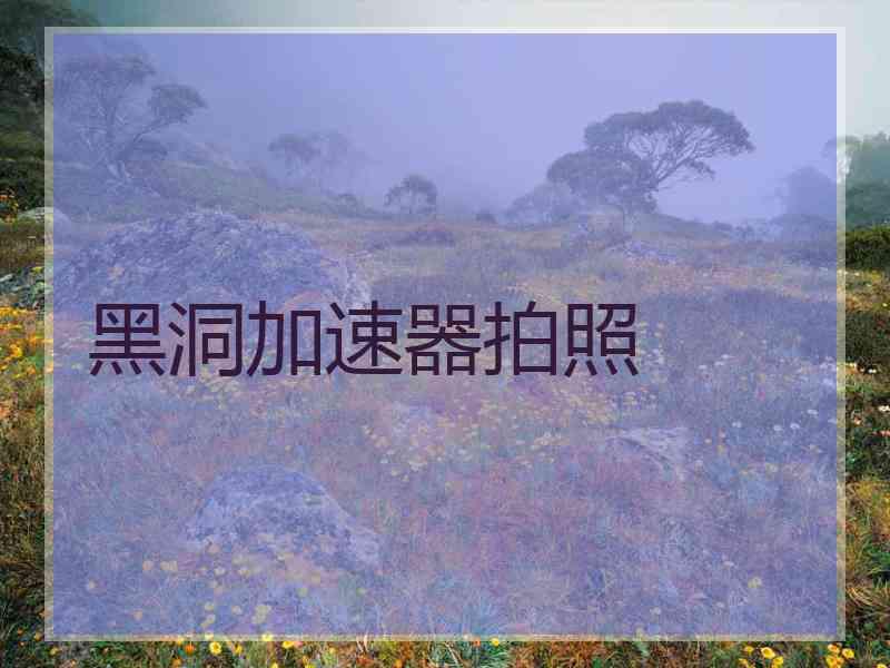 黑洞加速器拍照