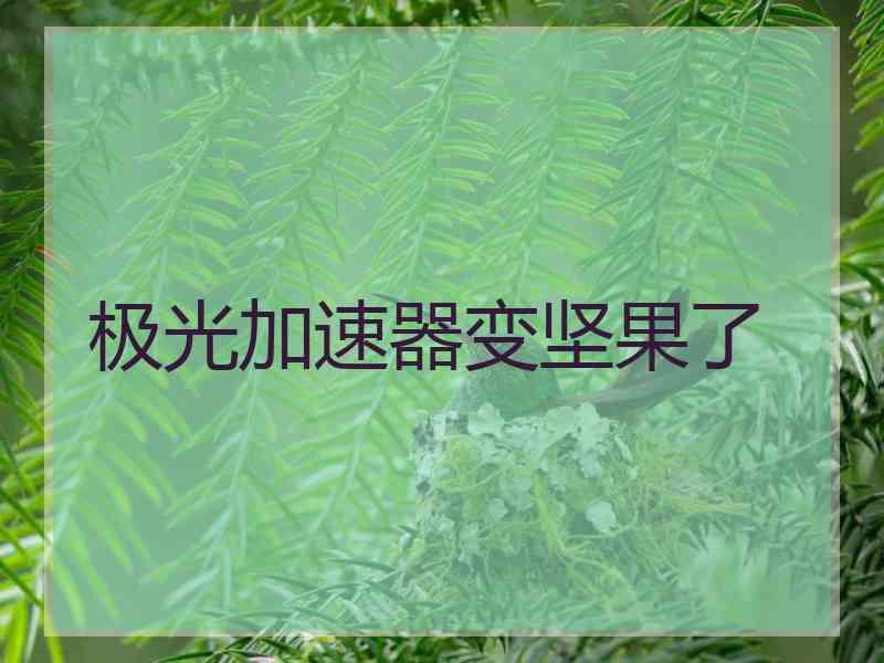 极光加速器变坚果了