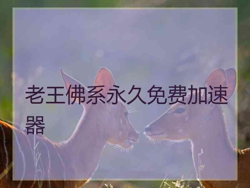 老王佛系永久免费加速器