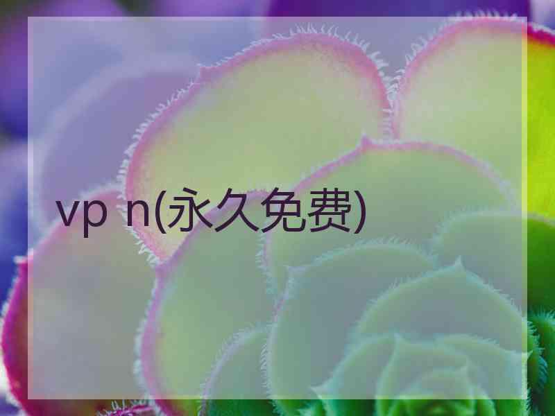 vp n(永久免费)
