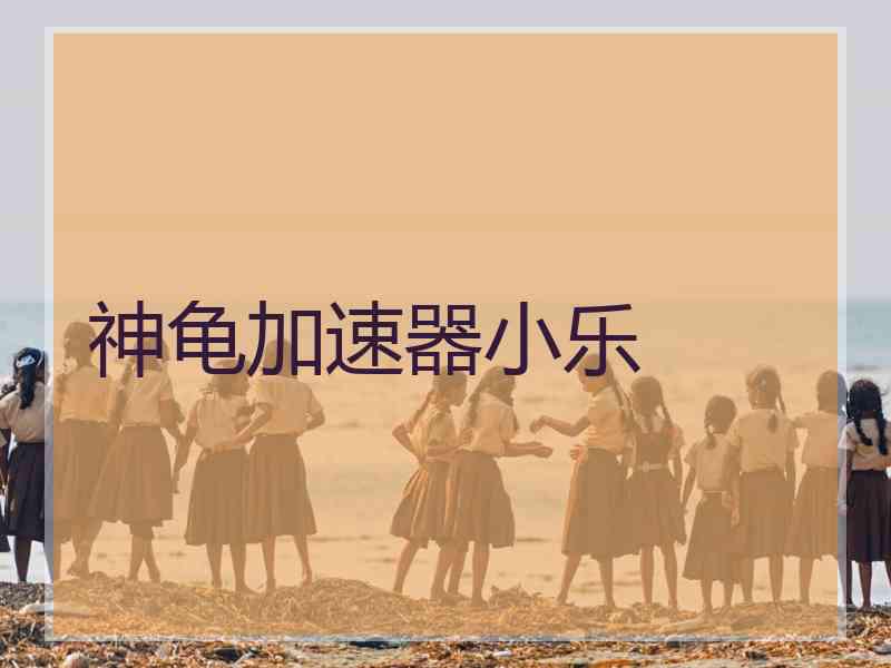神龟加速器小乐