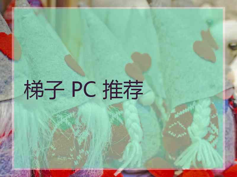 梯子 PC 推荐