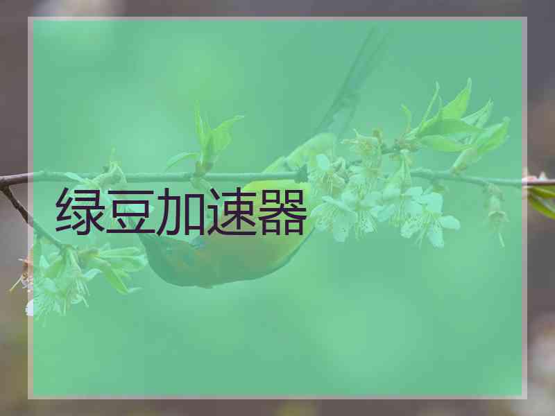 绿豆加速器