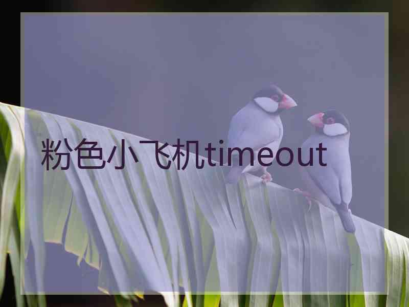 粉色小飞机timeout