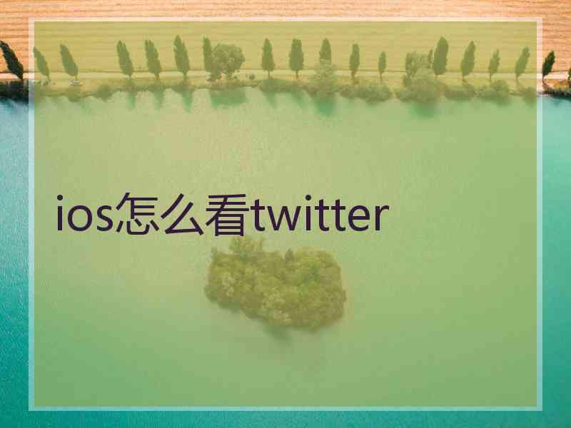 ios怎么看twitter
