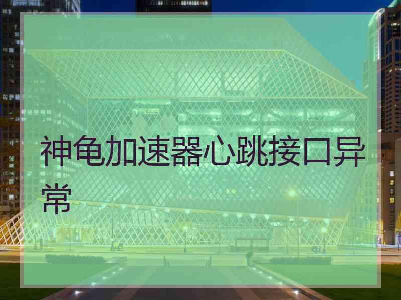 神龟加速器心跳接口异常