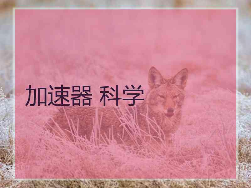 加速器 科学