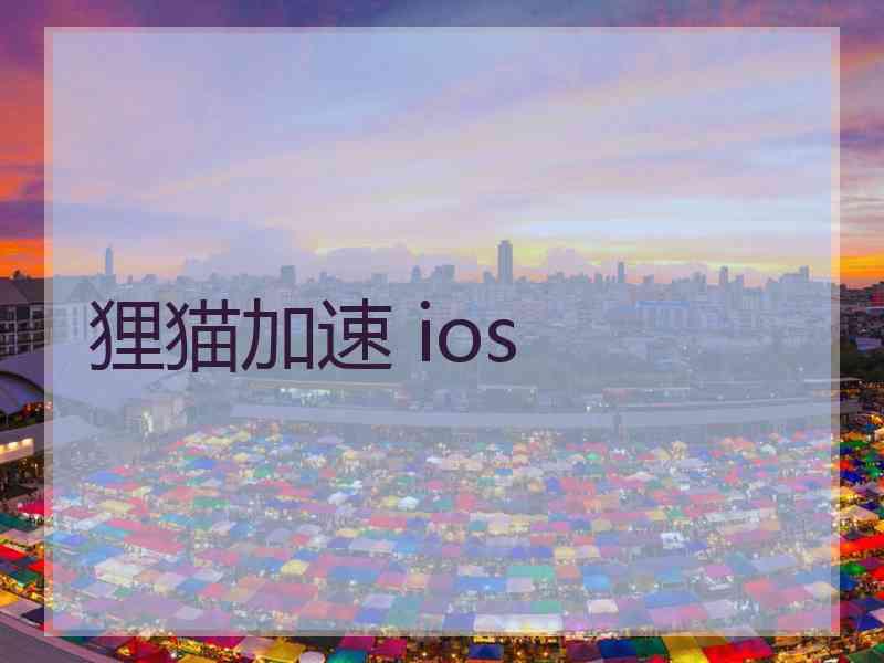 狸猫加速 ios