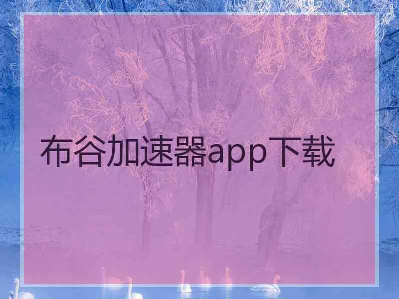 布谷加速器app下载