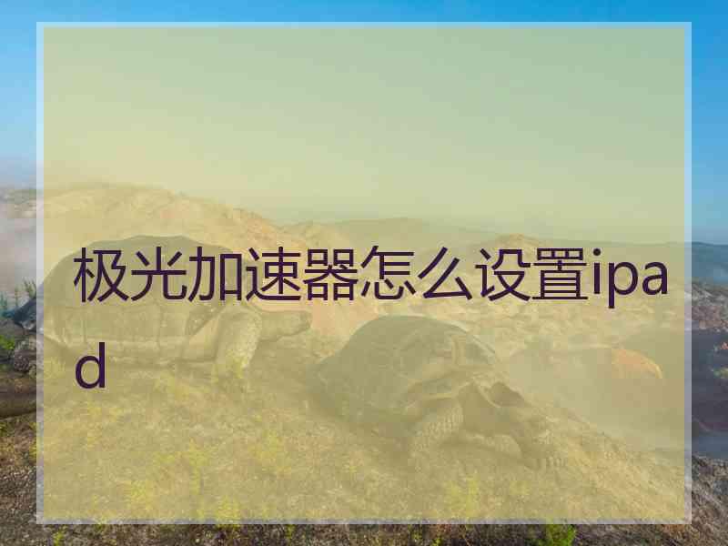 极光加速器怎么设置ipad