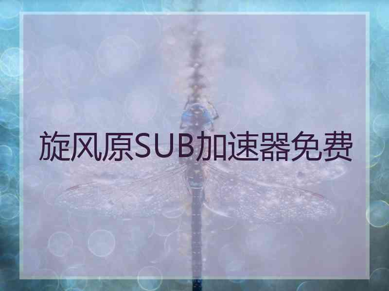 旋风原SUB加速器免费