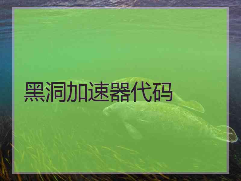 黑洞加速器代码